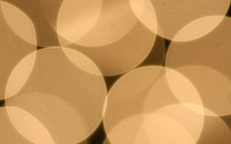 Illustration for article titled Photo Contest: Christmas Lights